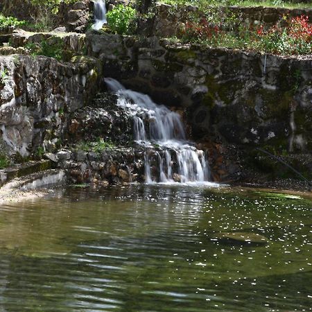 Апартаменти Quinta Lagarca 57 Lagares da Beira Екстер'єр фото